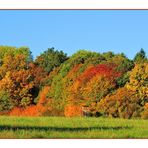 Der Herbst in seinen schönsten Farben.