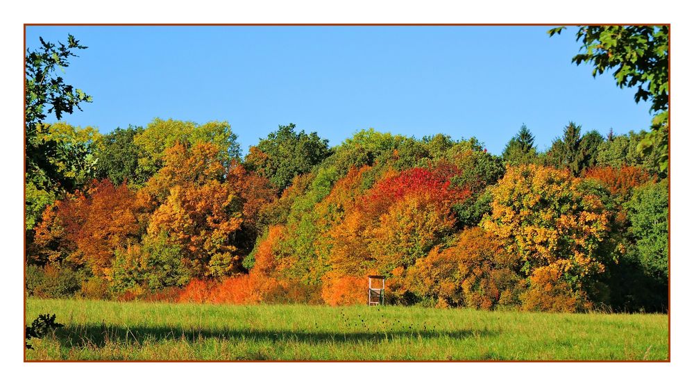 Der Herbst in seinen schönsten Farben.