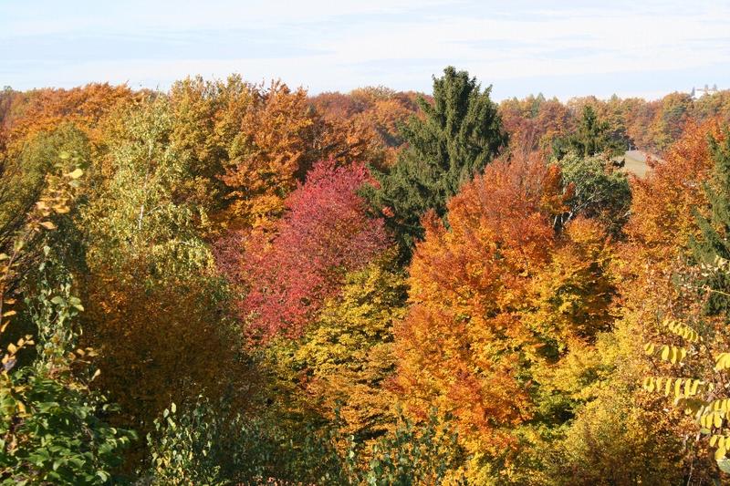 Der Herbst in seiner bunten Vielfalt