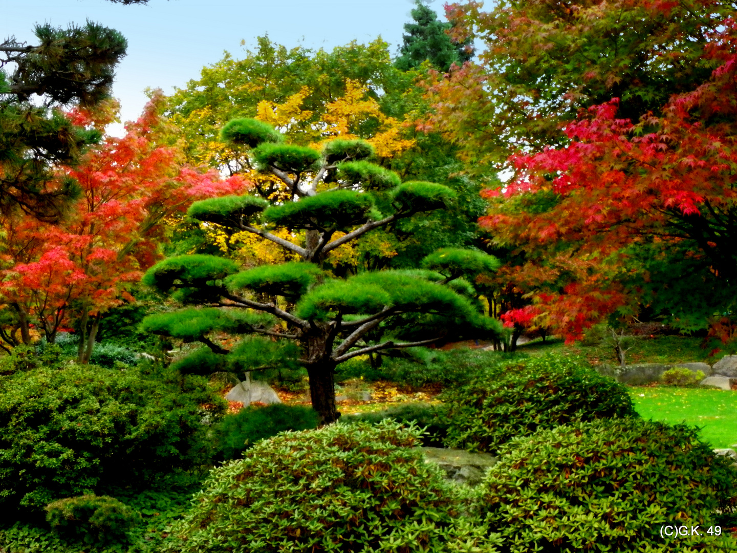 Der Herbst in seiner Farbenvielfalt !