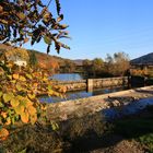 Der Herbst in seiner farbigen Vielfalt