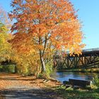 Der Herbst in seiner farbigen Vielfalt