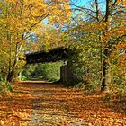 Der Herbst in seiner farbigen Vielfalt