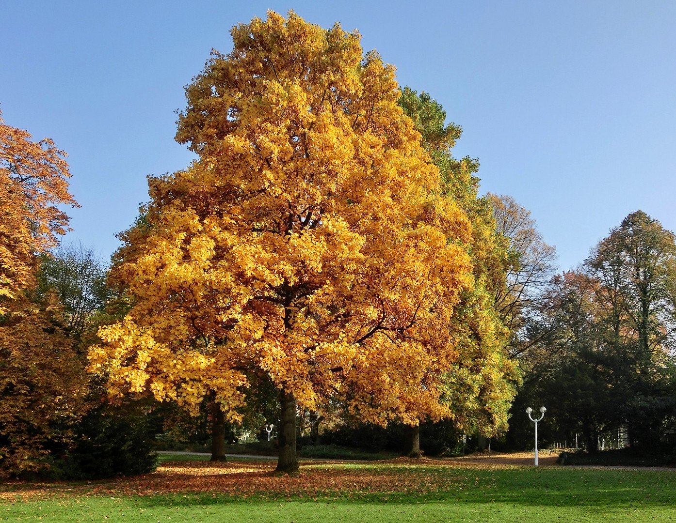 Der Herbst in seiner ganzen Pracht