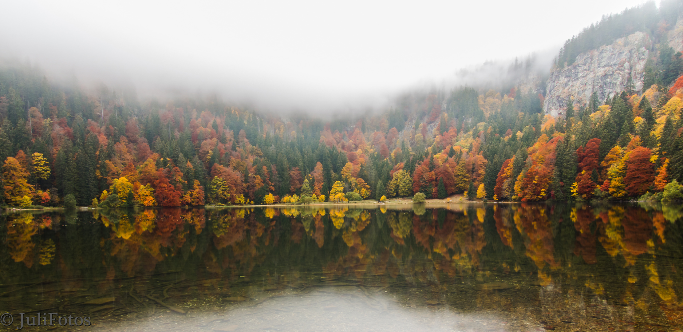 Der Herbst in seiner ganzen Schönheit