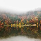 Der Herbst in seiner ganzen Schönheit