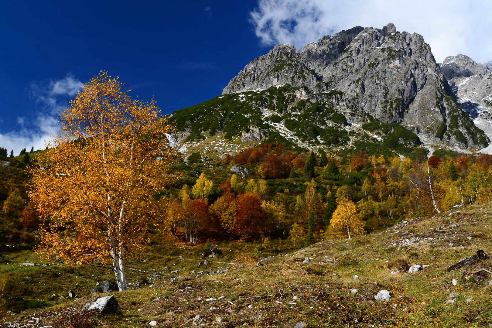 Der Herbst in seiner schönsten Form