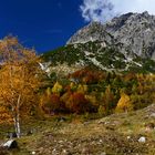 Der Herbst in seiner schönsten Form