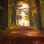 Der Herbst in seiner stillen Einsamkeit