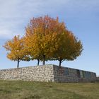 Der Herbst in seiner vollen Pracht