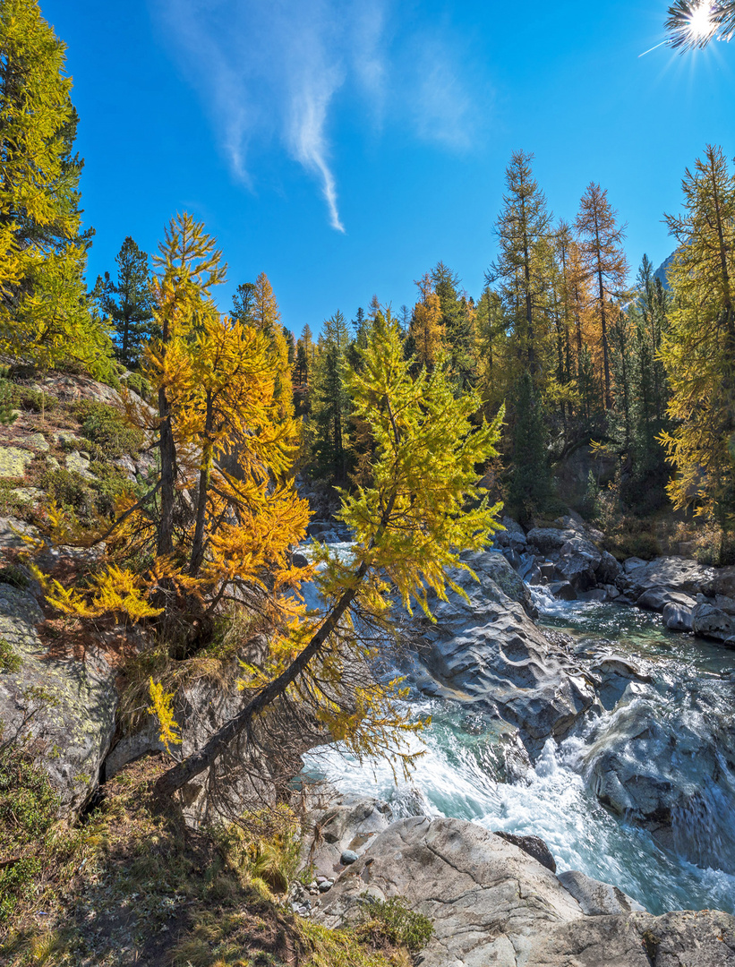 Der Herbst in seiner vollen Pracht