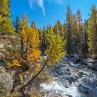 Der Herbst in seiner vollen Pracht