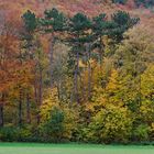 Der Herbst in seiner vollen Pracht