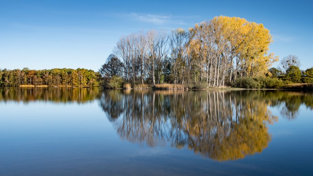 Der Herbst in Spiegel