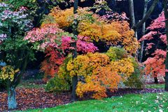 Der Herbst in vielen Farben