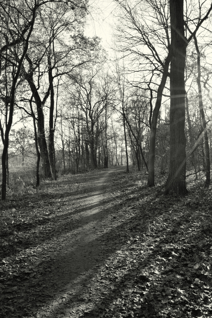 der Herbst in vollen Zügen