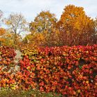 der Herbst in voller bunter Blätterpracht