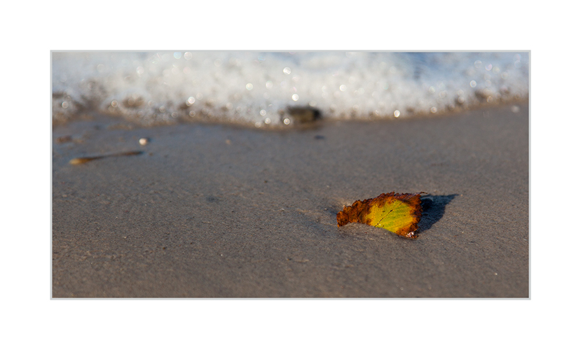 Der Herbst ins Wasser gefallen?