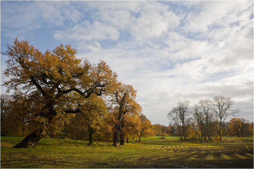 Der Herbst ist am kommen ....