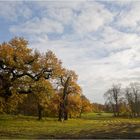 Der Herbst ist am kommen ....