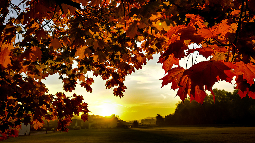 Der Herbst ist angekommen