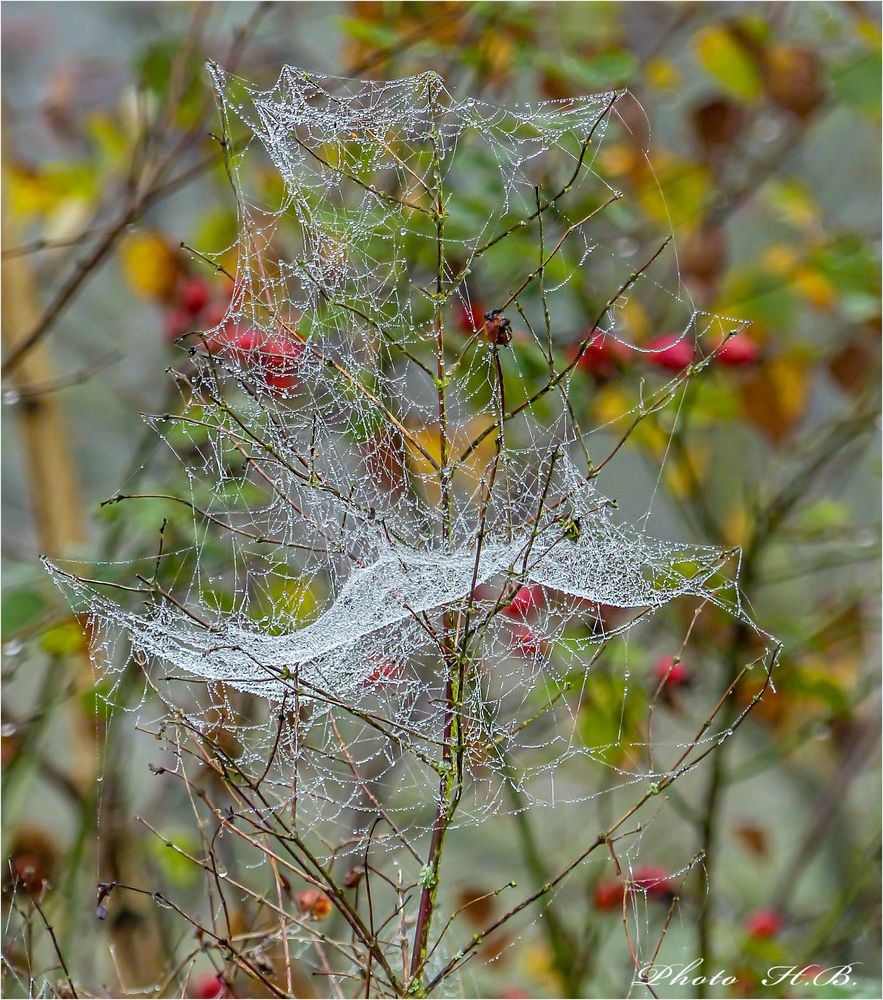 Der Herbst ist angekommen