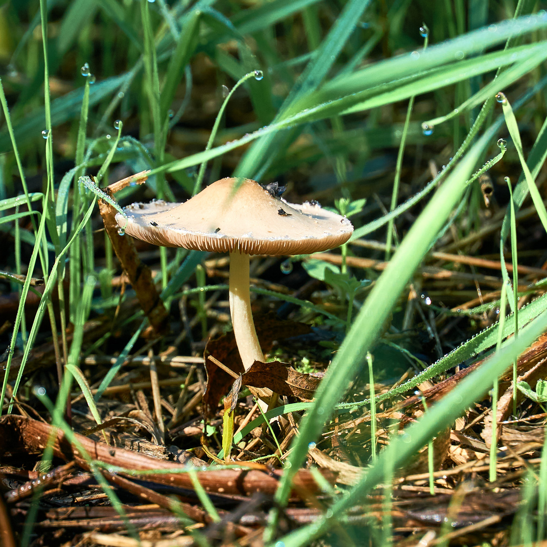 Der Herbst ist angekommen