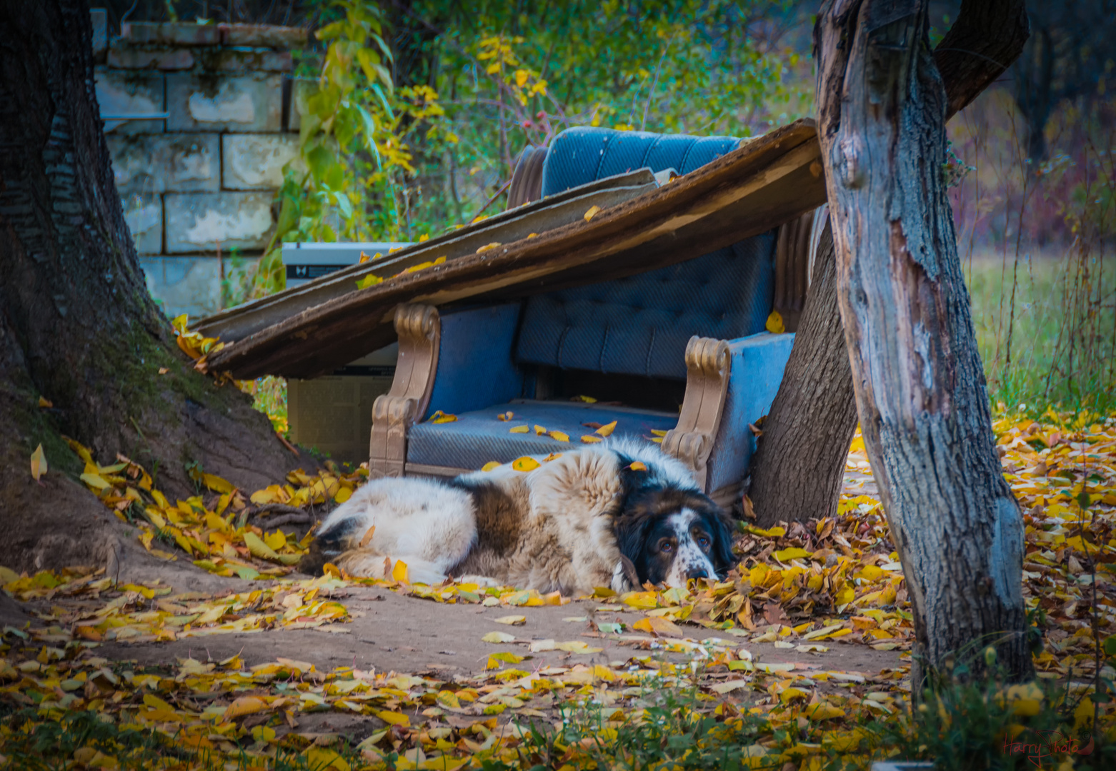 Der Herbst ist angekommen...