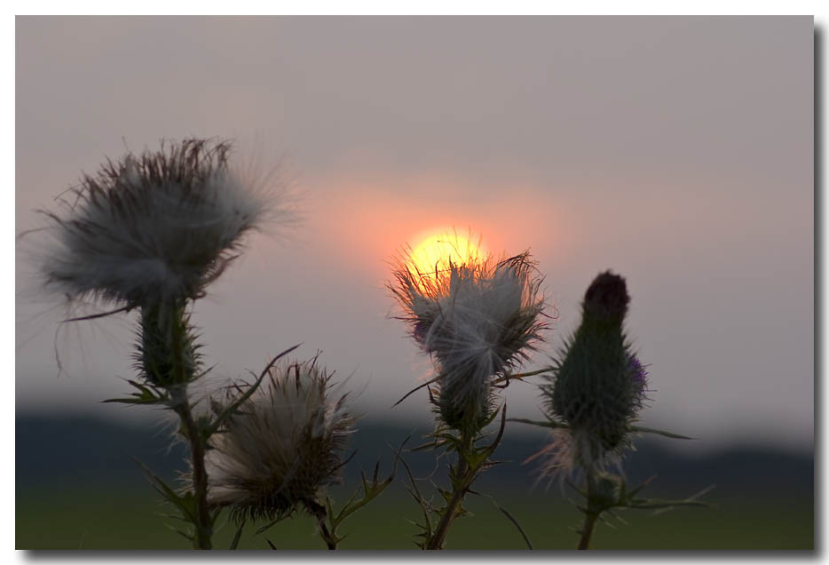 Der Herbst ist auch voller Fotomotive