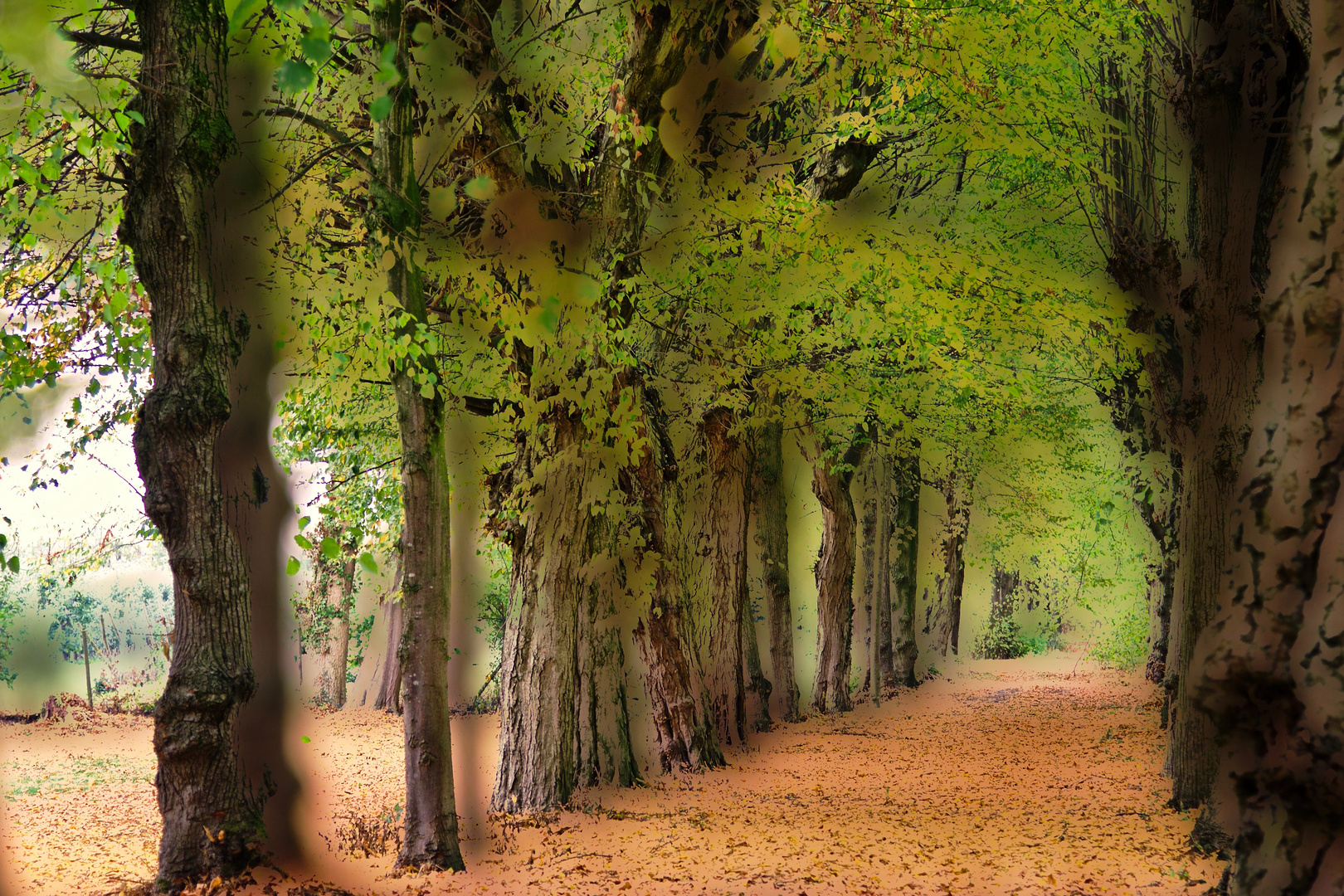 der Herbst ist auf dem Weg