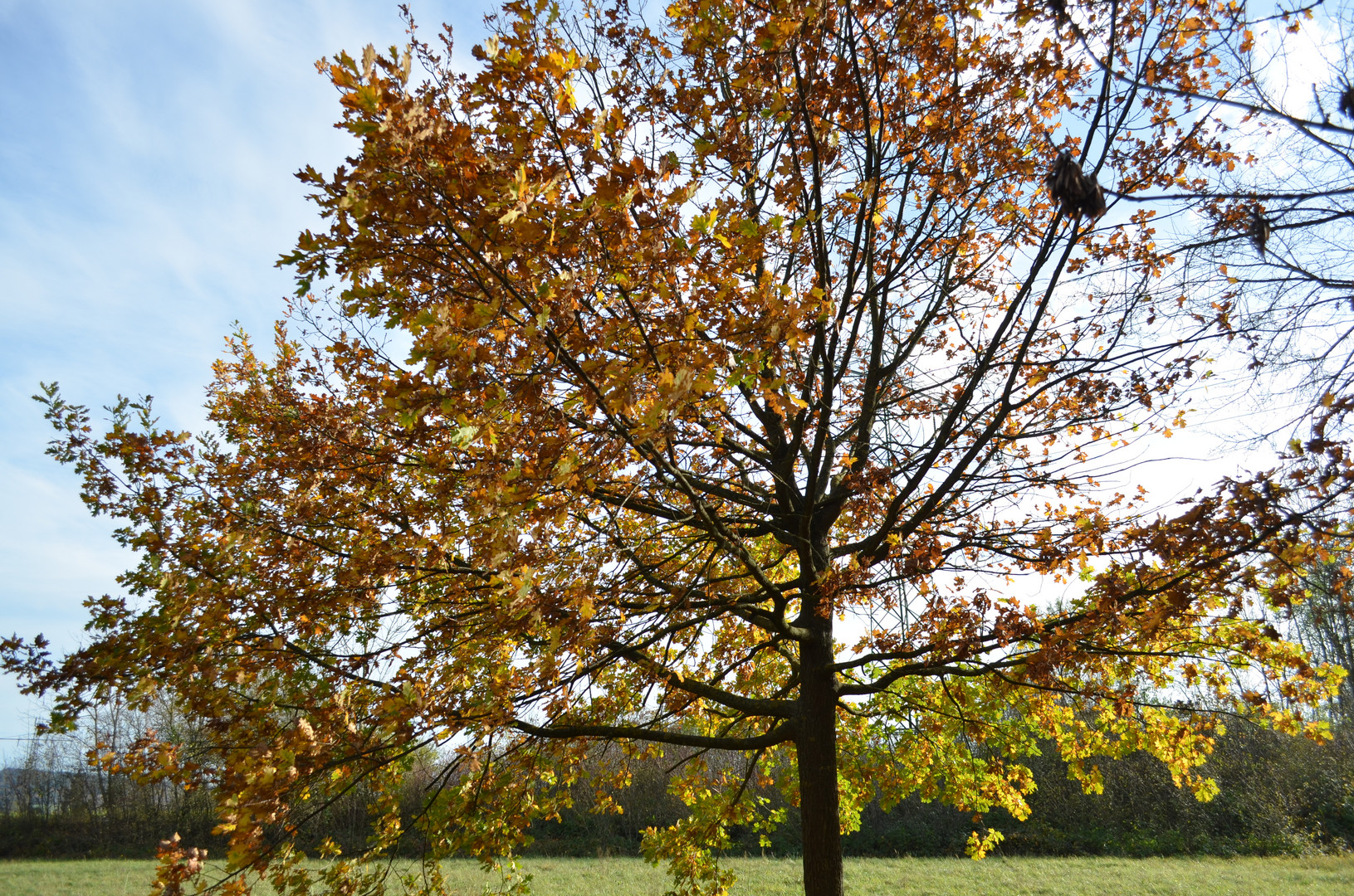 Der Herbst ist bei uns