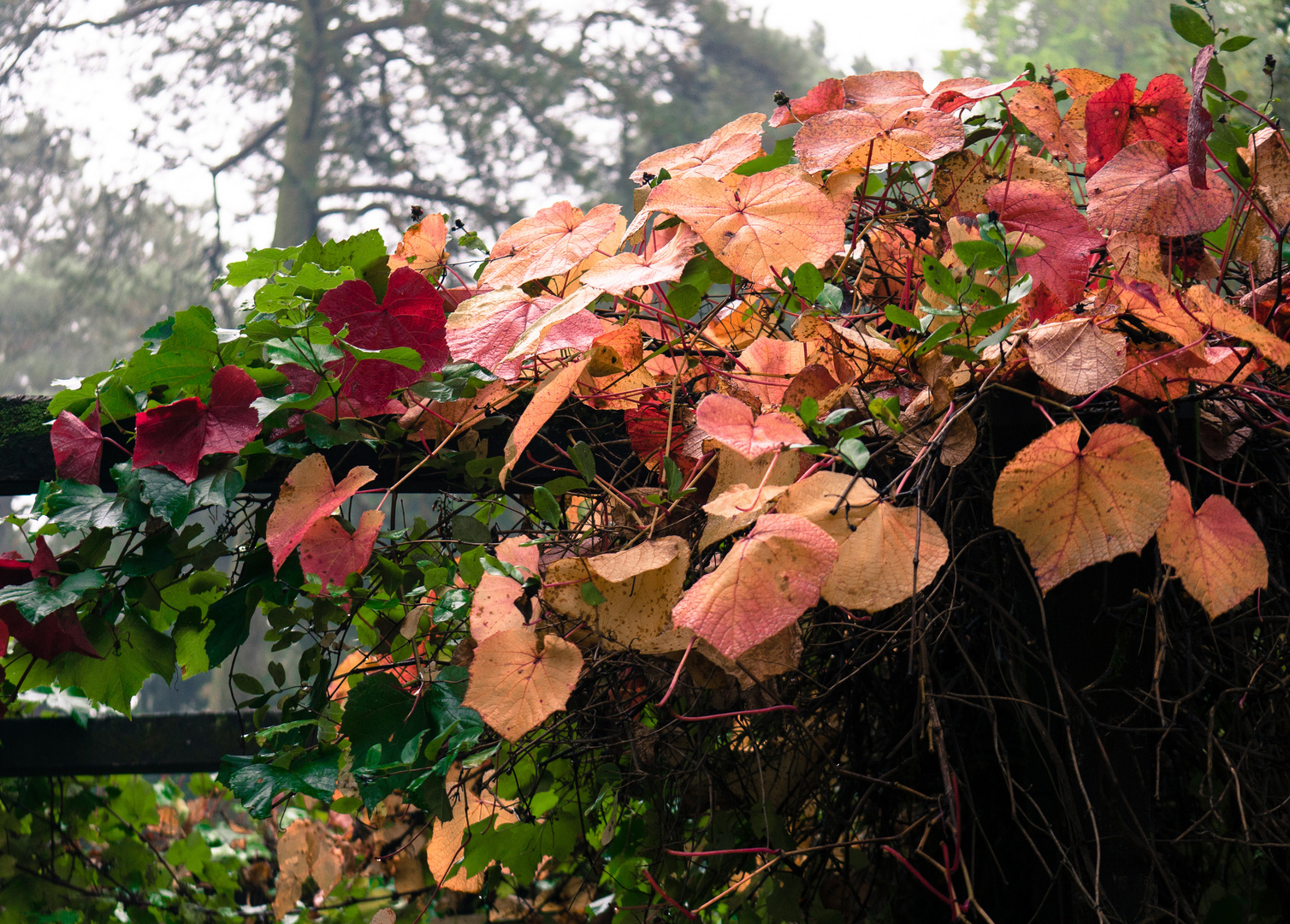 Der Herbst ist bunt!