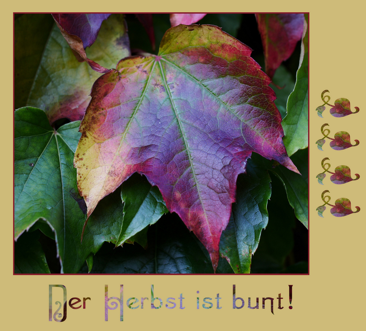 Der Herbst ist bunt!