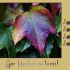 Der Herbst ist bunt!