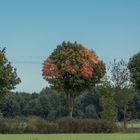 Der Herbst ist bunt