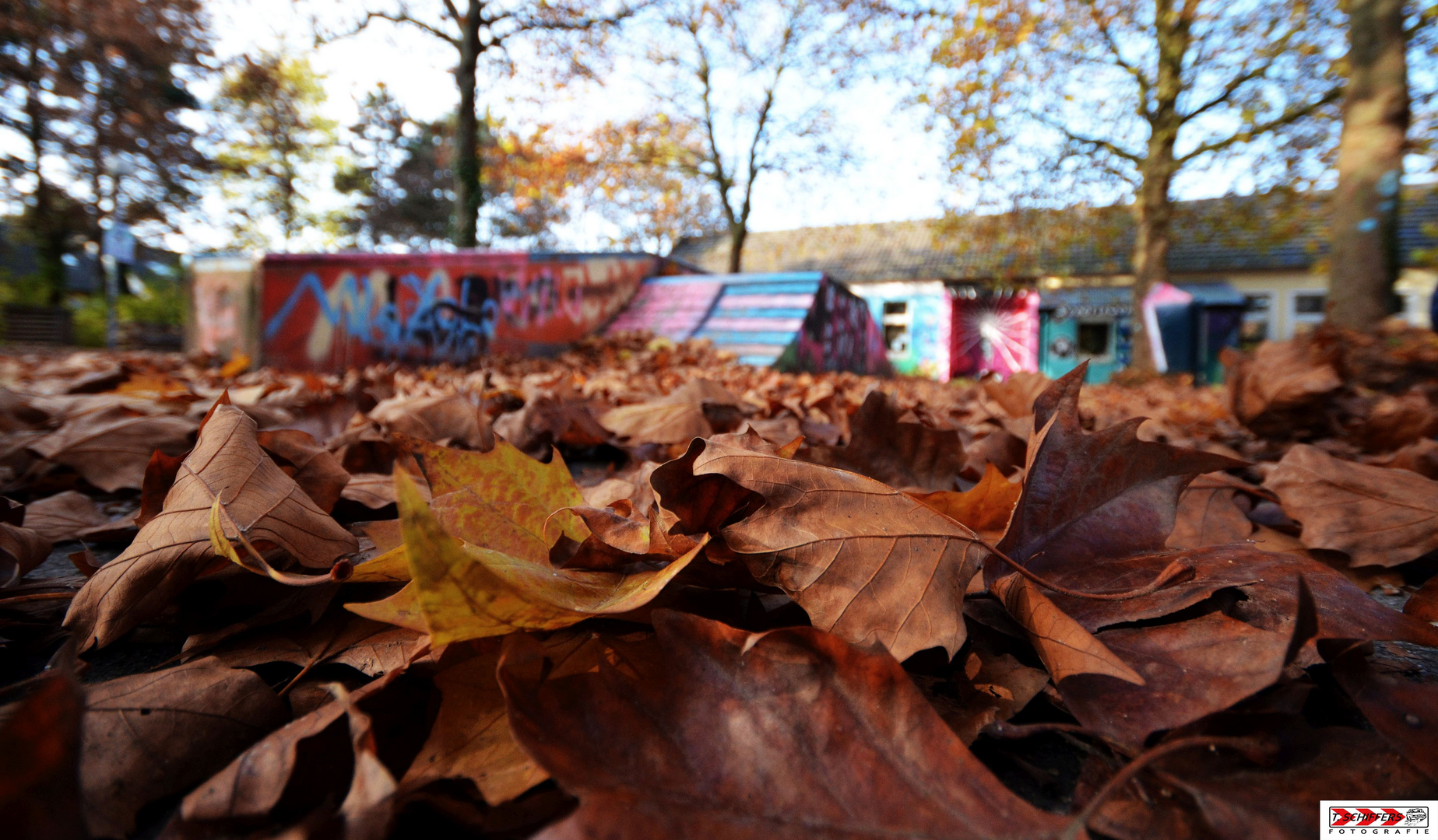 der Herbst ist bunt ...