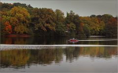 Der Herbst ist bunt ...