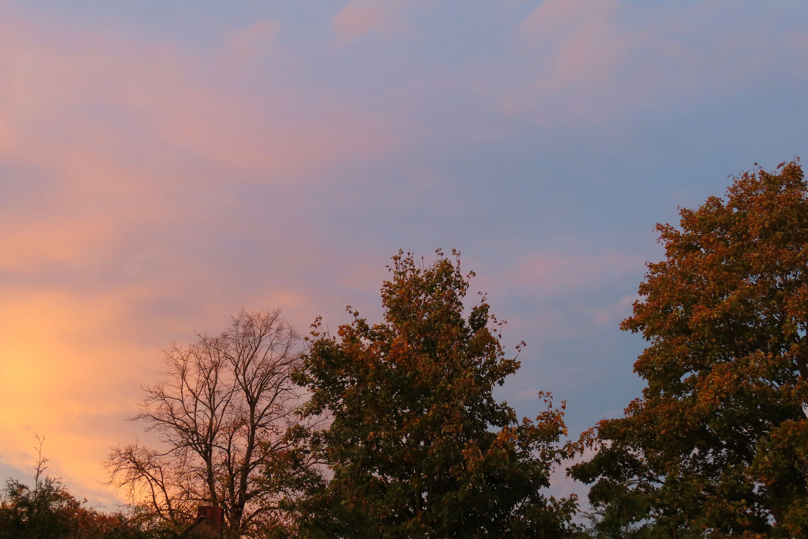 Der Herbst ist bunt 