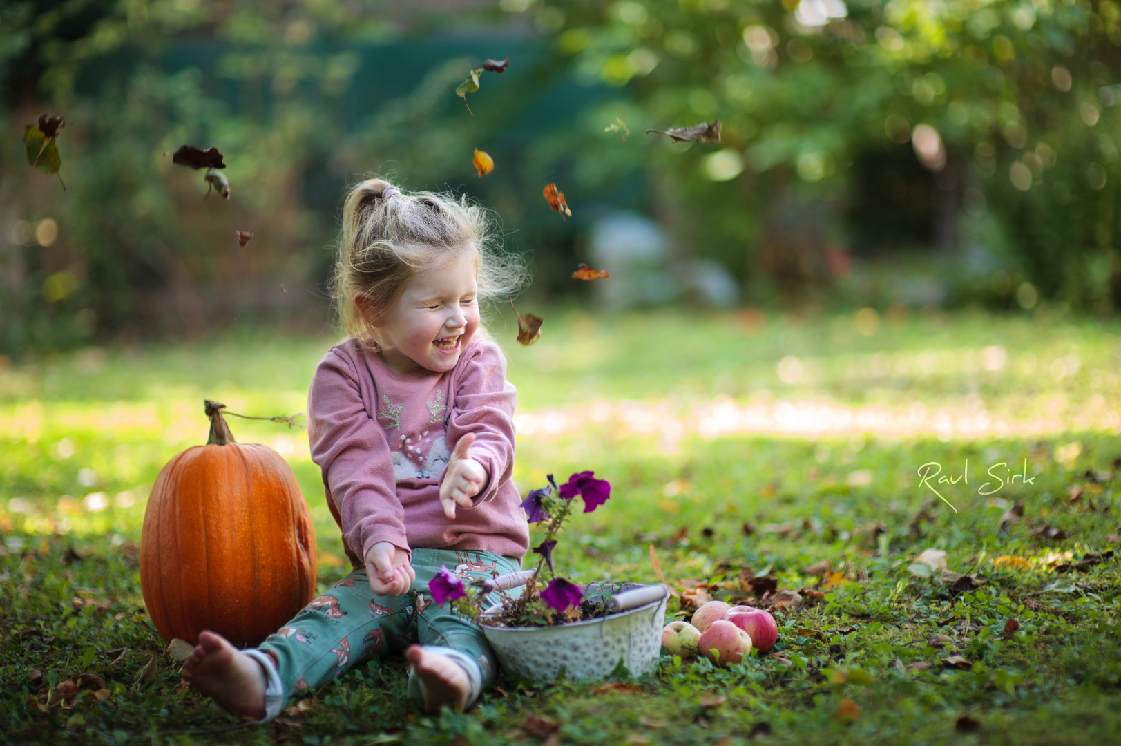 Der Herbst ist da