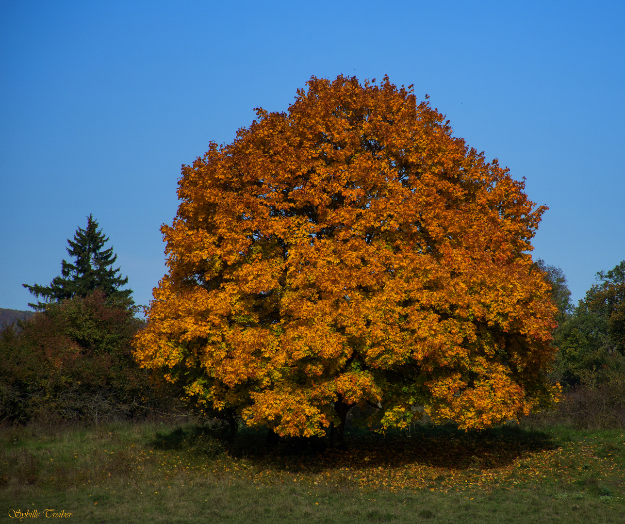 Der Herbst ist da