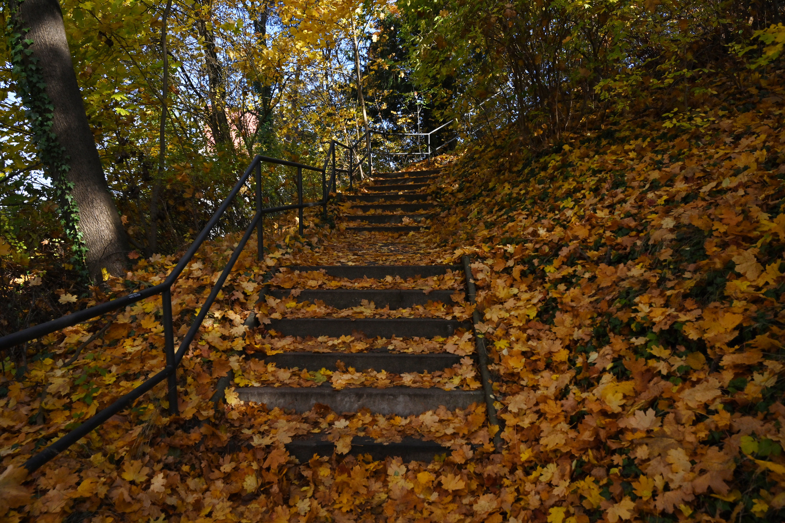 Der Herbst ist da