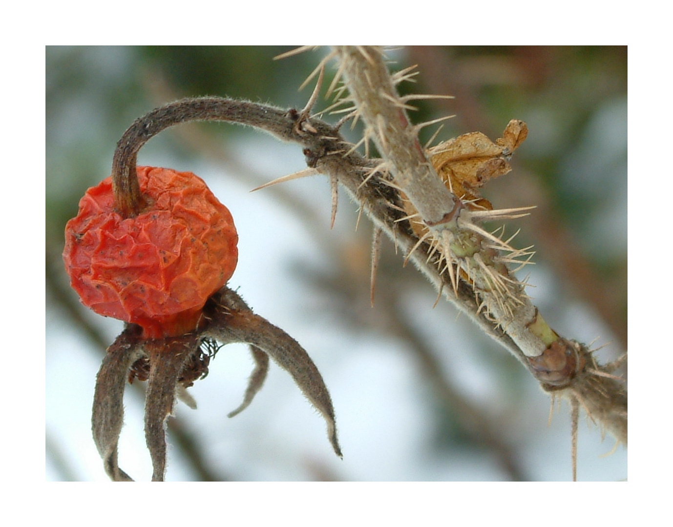 Der Herbst ist da