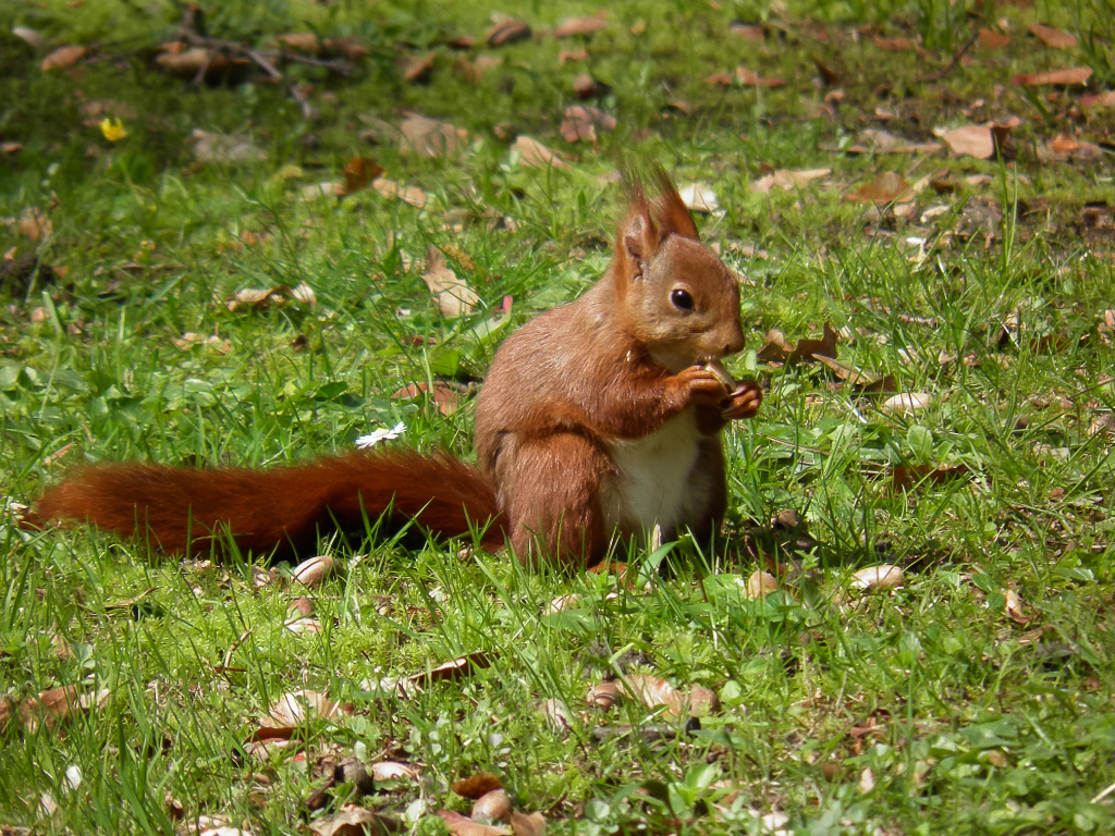 Der Herbst ist da ...