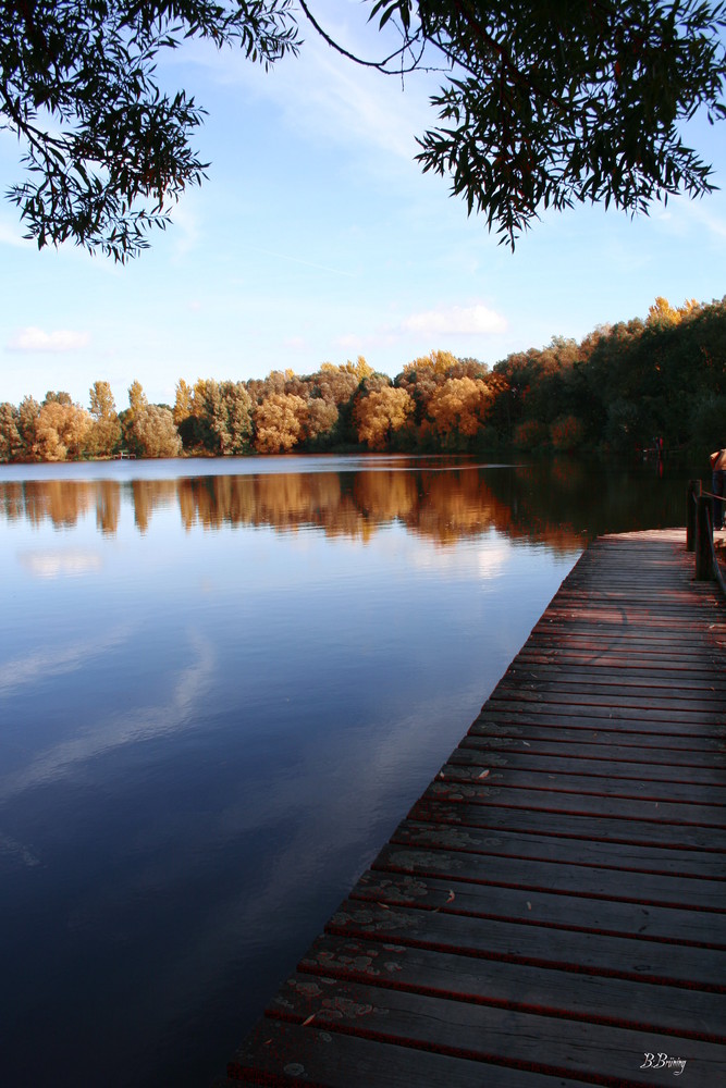 der HERBST ist da..