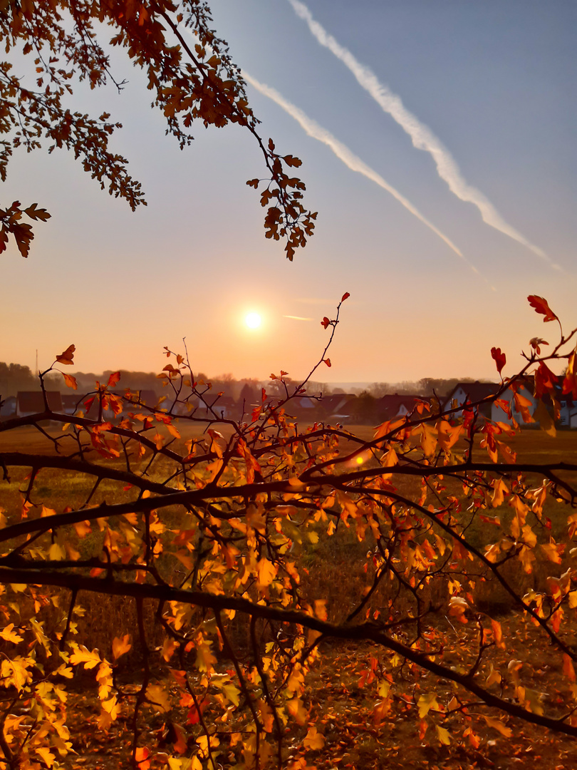 Der Herbst ist da 