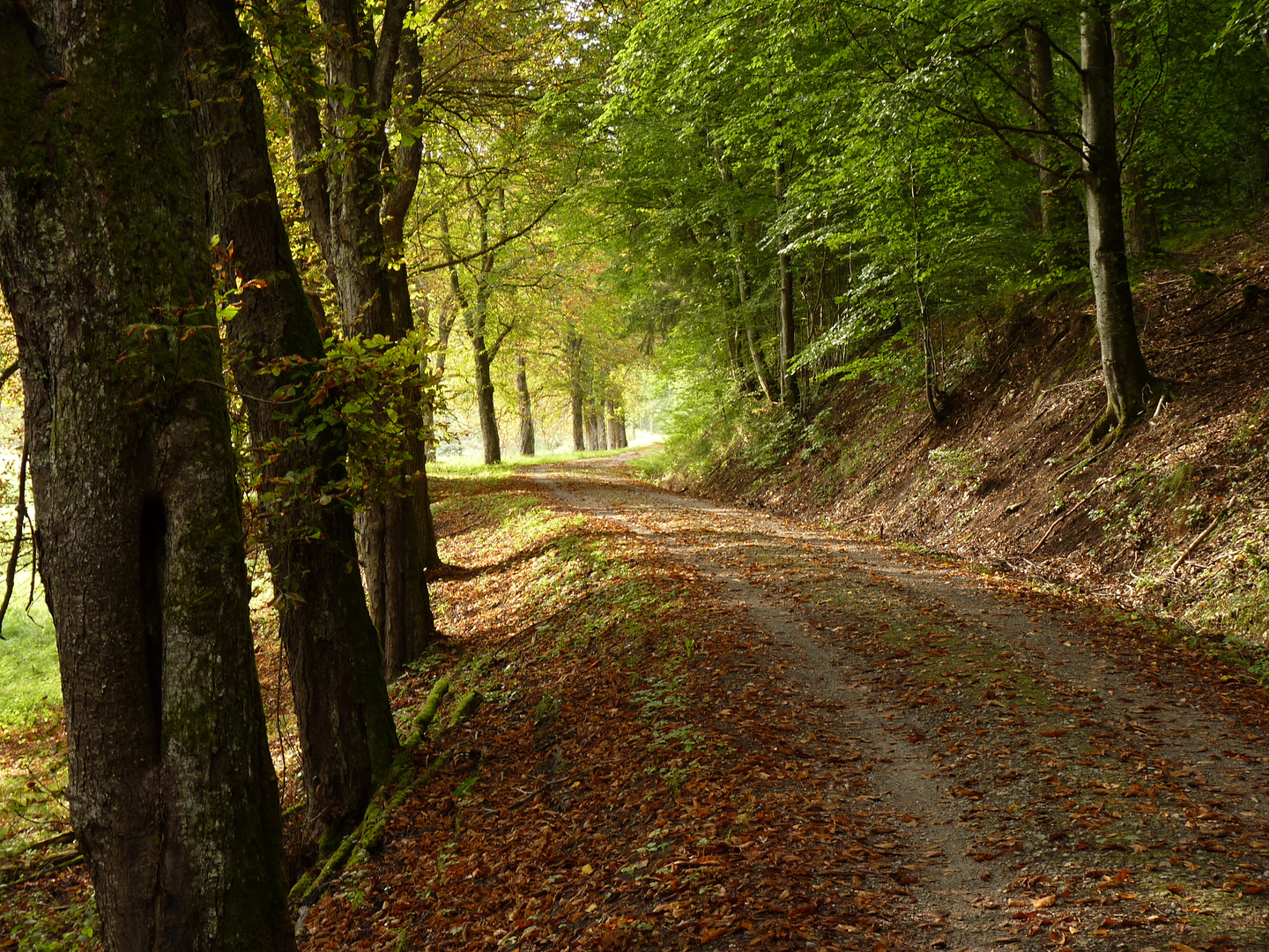 Der Herbst ist da