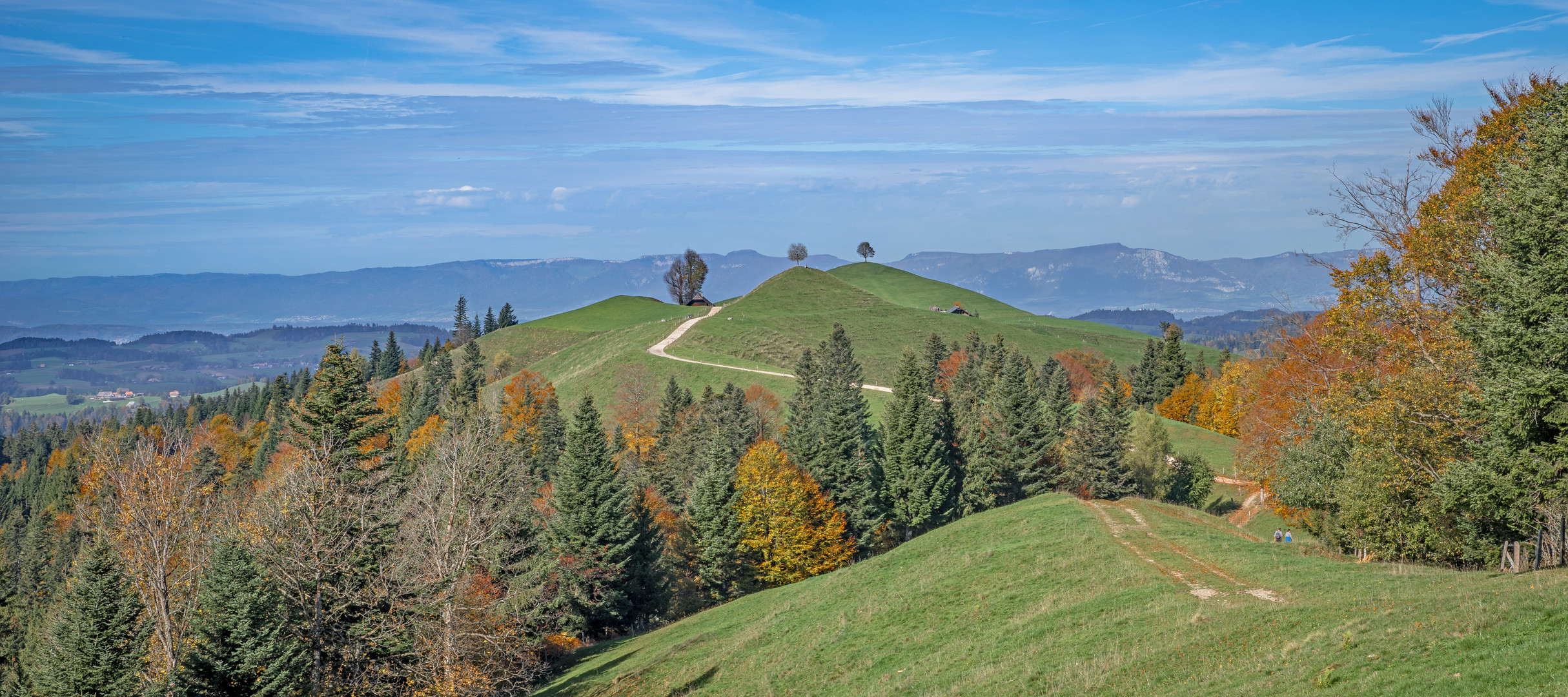 Der Herbst ist da