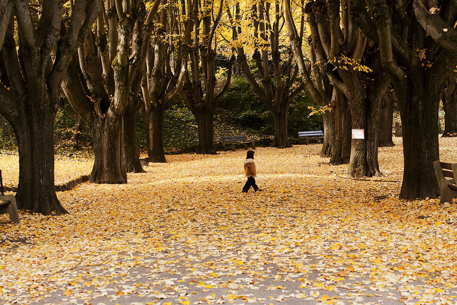 Der Herbst ist da