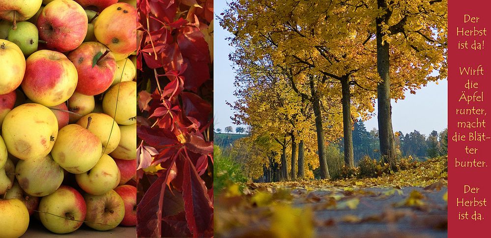 Der Herbst ist da Foto &amp; Bild karten, natur Bilder auf