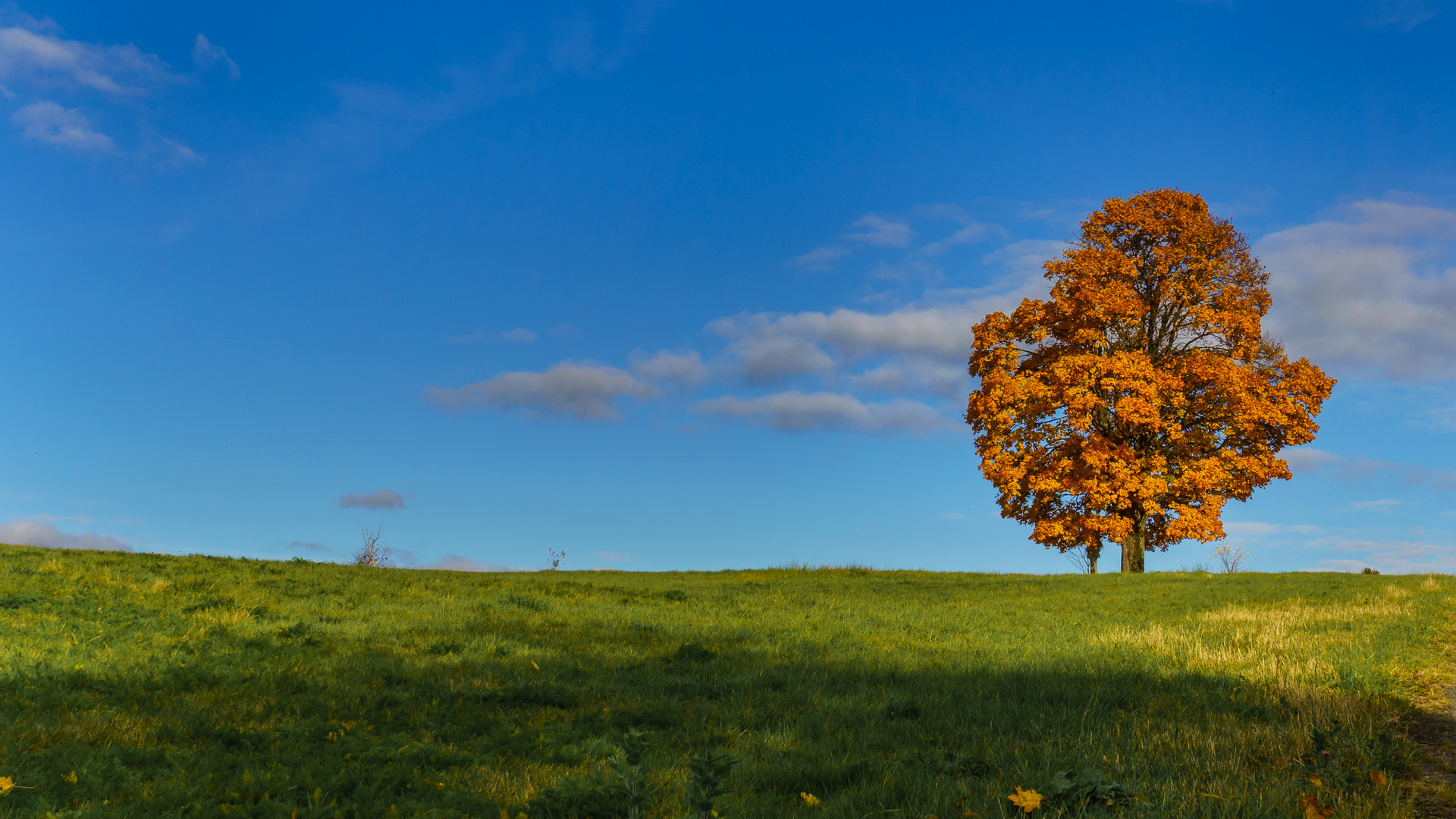 Der Herbst ist da